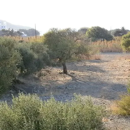 Apartment Amorgaia3 Katápola