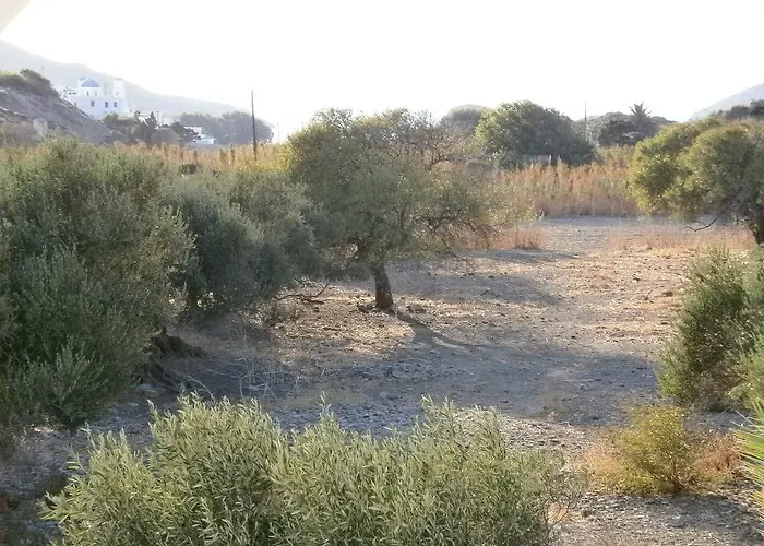 Daire Amorgaia3 Katápola